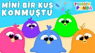 Mini Mini Bir Kuş ile Renkleri Öğreniyorum 🐦 (YENİ) | Bebek ve Çocuk Şarkıları | Tombik Panda