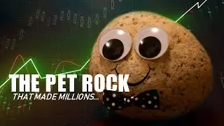 The Stupidly Genius Pet Rock Fad That Made Millions (In 5 minutes or less)