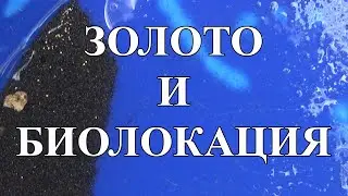 Поиск золота, проба метода биолокации.