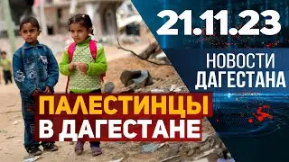 К приему палестинцев готовы! Новости Дагестана за 21.11.2023 год