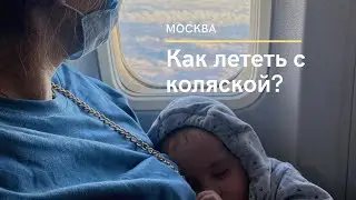 Как лететь с коляской в самолете? Сдавать в негабаритный багаж или возле трапа.