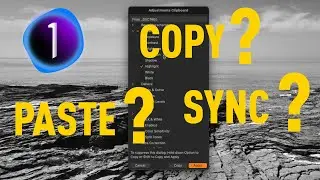 How to Sync Settings in Capture One (How to use the Copy and Apply Adjustments Tool)