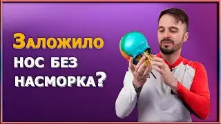 Загадка: почему нос не дышит, если нет насморка? И как вернуть свободное носовое дыхание .