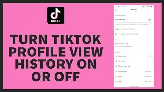 How to Turn Tiktok Profile View History On or Off? Turn on Profile Views on Tiktok |