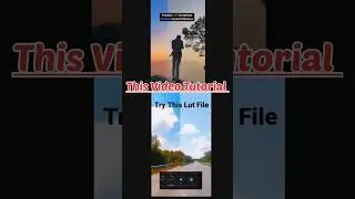 Try This Lut File Vn App || Vn App Tutorial || Vn Video Editing 