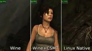 [LinuxBenchmark] Tomb Raider Linux vs Wine comparison