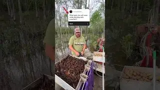 🦞 BEST CLOTHES FOR CRAWFISH FARMING 