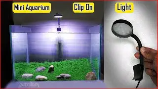 VAYINATO Mini Clip On Aquarium Light LY 307 Unboxing & Review