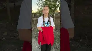 29 ноября 2023 г.