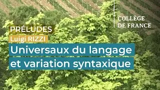 Universaux du langage et variation syntaxique - Luigi Rizzi