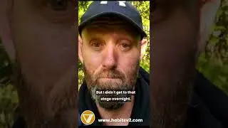 Breaking The Alcohol Cycle 🔄 #shortsfeeds #shorts_ #healthylifestyle