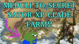 BEST Place to Farm Clade XP for New Players in Mortal Online 2 After Haven! Hidden Sators in Jungle