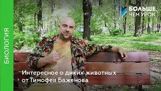 Интересное о диких животных от Тимофея Баженова