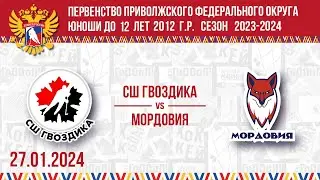 СШ ГВОЗДИКА vs МОРДОВИЯ 2012г.р. 27.01.24