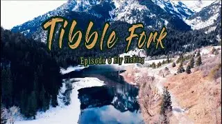 Fly Fishing For Trout in Tibble Fork Reservoir