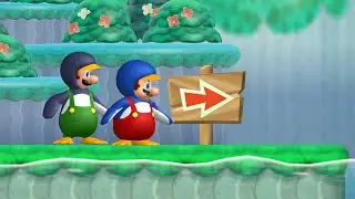 New Super Mario Bros. Wii Arcadia - 2 Player Co-Op Walkthrough #13