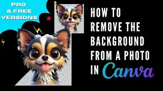 How to Remove the Background from a Photo in Canva