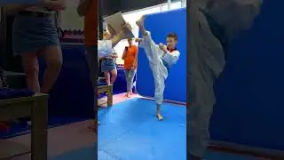 Taekwondo Kicks/Children