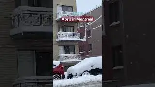 April in Montreal ❄️💎❤️