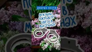 #добрыевести