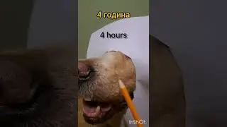 🐕 3D realistic drawing challenge🌞 Реалістичний малюнок