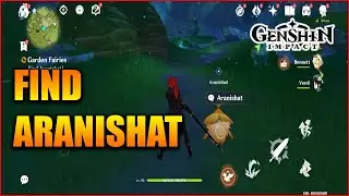 Genshin Impact: Find Aranishat