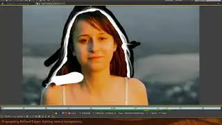 After Effects Classic Course - Refine Edges 2/4: Propagating Refine Edges