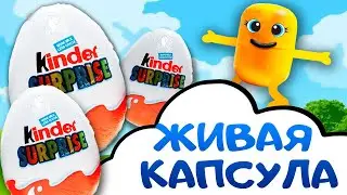 Открываем  Киндер Сюрпризы вместе со всеми друзьями .