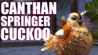 GW2 - Canthan Cuckoo Springer Mounts Pack - Guild Wars 2 End Of Dragons