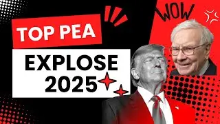 Ces Actions PEA Feront ton Année 2025 !