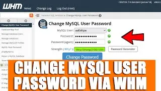 [🔴LIVE] How to change MySQL user password via WHM root?