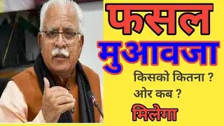 Haryana Kisan Fasal Muavja 2023 / हरियाणा फसल मुआवजा 2023 / मुख्यमंत्री मनोहर लाल घोषणा