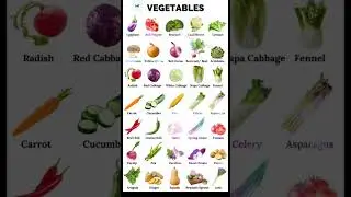 Vegetables Name #english #vegetables #vocabulary @learnwithmk5825