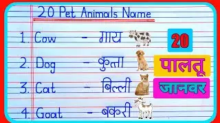 20 Pet Animals Name in hindi and english | पालतू जानवरों के नाम |  pet animals | pet animals name