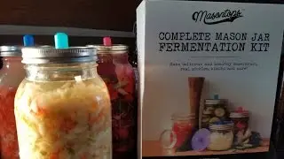 FERMENTING FOR DUMMIES! SO EASY