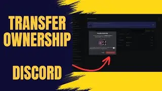 How to Transfer discord account ownership 2024