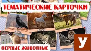 Учим названия животных - Карточки для детей "Животные и птицы"