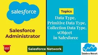 Data Type, Primitive Data Type, Collection Data Type, sObject in Salesforce