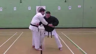 Goju Ryu Bunkai Applications