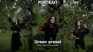 Portrait Green preset | How to download Lightroom presets | Lightroom presets | Green preset |