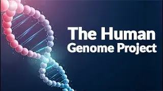 The Human Genome Project