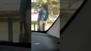 Kayp qivotti. 😂Faqat kattalar uchun videola
