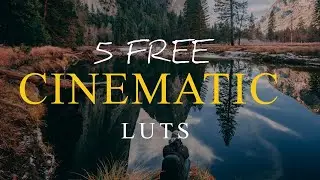 5 CINEMATIC LUTs Presets for FREE (DaVinci Resolve,Adobe,Final cut, Filmora)