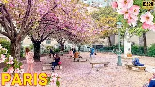 Paris, France 🇫🇷 - Paris Spring 2024 | Paris Printemps Walk 4K | Relaxing Walk (▶1h02 min)