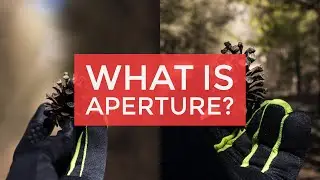 What is Aperture? ( Photography Tips )
