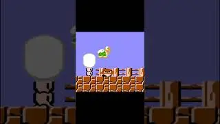 Super Mario Bros. Game Funny Bug