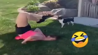 TRY NOT TO LAUGH 😆 Best Funny Videos Compilation 😂😁😆 Memes PART 218