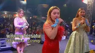 Suasana main orkes dangdut || Winong bersatu, Elbamas group