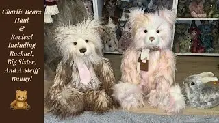 Charlie Bears Haul! First Haul Of The Year!