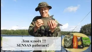 Bream. Bream on feeder. Fishing 2019. Feeder for beginners.